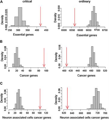Identification of Biomarker in Brain-specific Gene Regulatory Network Using Structural Controllability Analysis